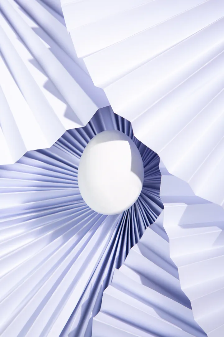 Photo d'art, photographie artistique nantes, galerie photo, nature morte