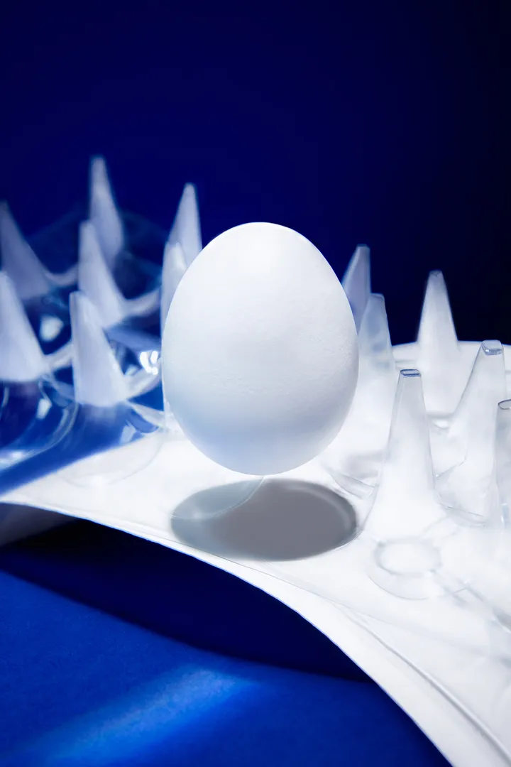 Set design, fine art, série photo, femme photographe, photographie artistique, nature morte, photographe