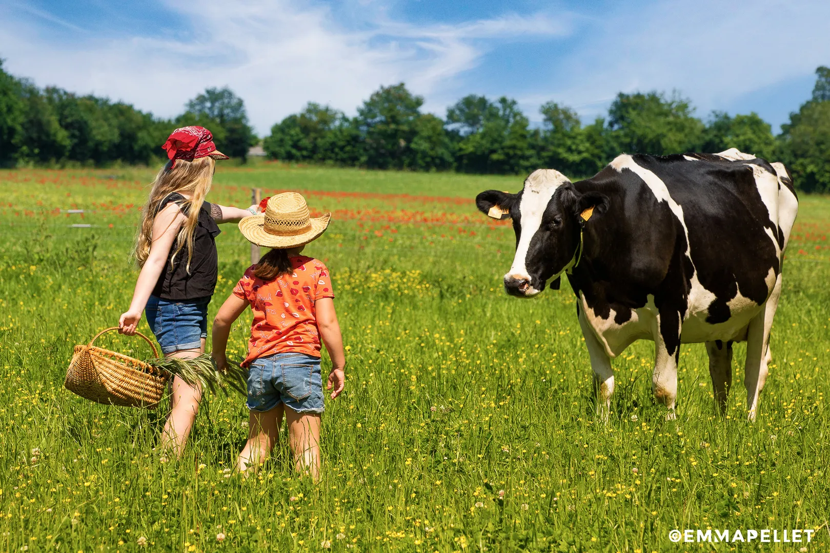 agritourisme pays de la loire illustration agritourisme magazine region photographe publicitaire nantes emma pellet